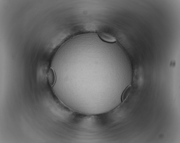 X0000113250116200909241621