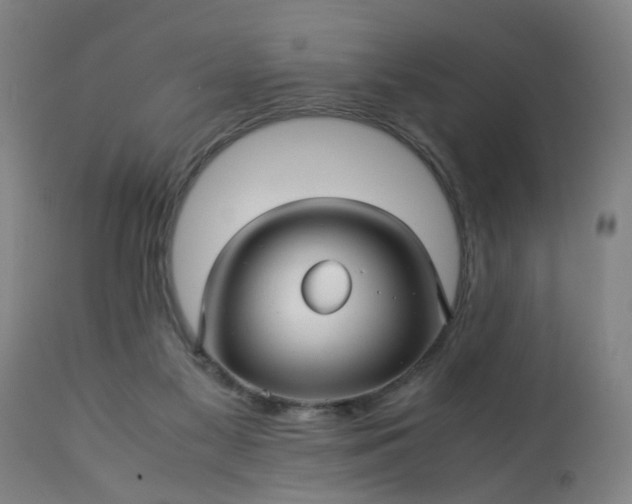 X0000113250117200909241621