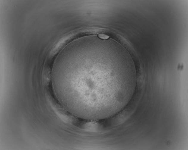 X0000113250119200909241621