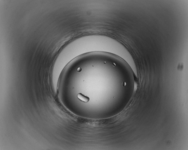 X0000113250120200909241621