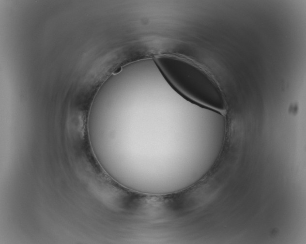 X0000113250121200909241621