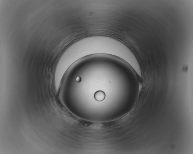 X0000113250124200909241621