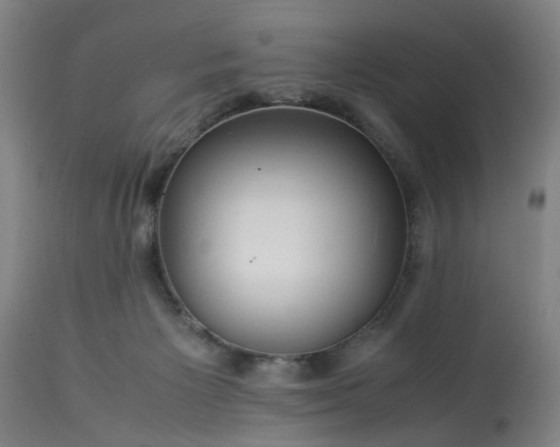 X0000113250125200909241621