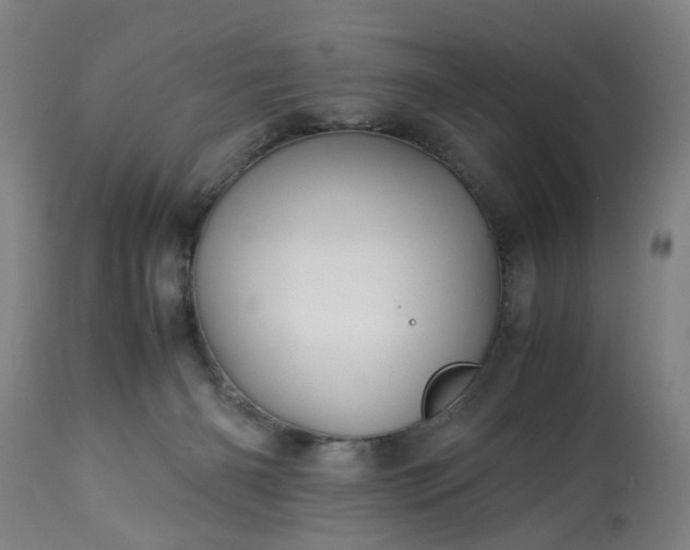 X0000113250126200909241621