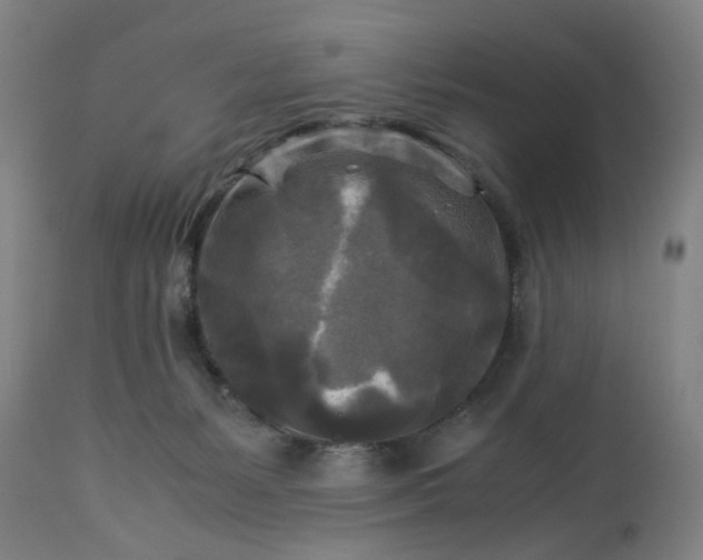 X0000113250127200909241621