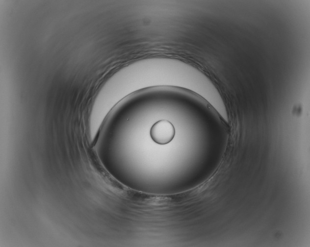 X0000113250128200909241621