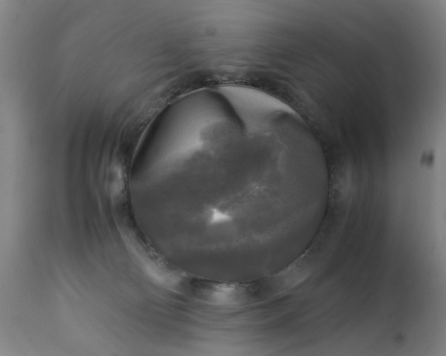 X0000113250130200909241621