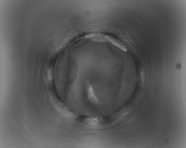 X0000113250131200909241621