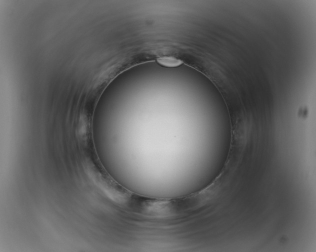 X0000113250132200909241621