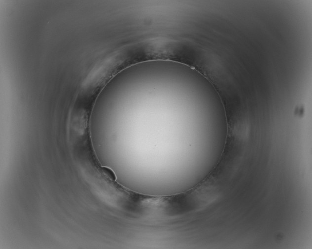 X0000113250133200909241621