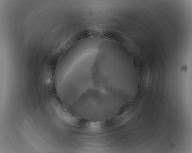 X0000113250134200909241621