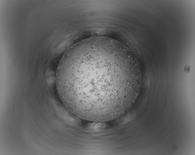 X0000113250135200909241621