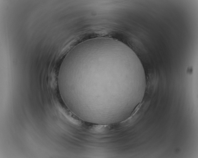 X0000113250136200909241621