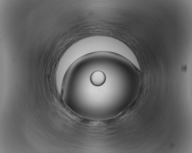 X0000113250137200909241620