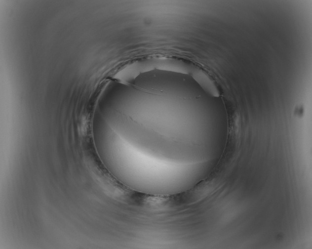 X0000113250139200909241620