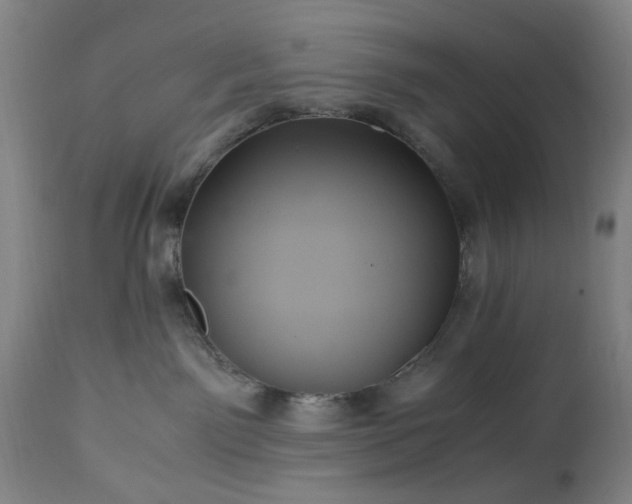 X0000113250141200909241620