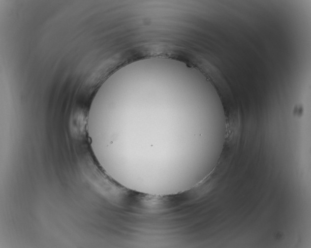 X0000113250142200909241620