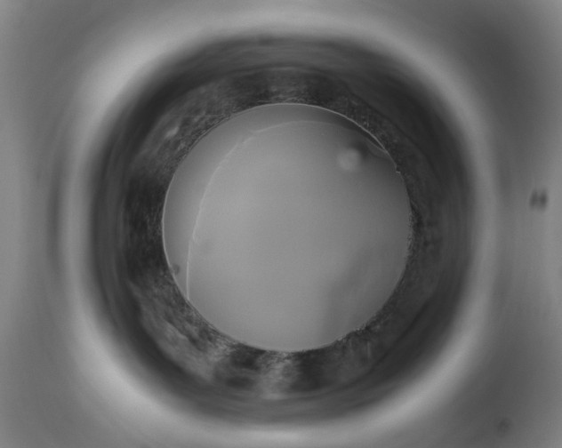 X0000113250143200909241620