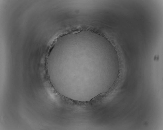 X0000113250144200909241620