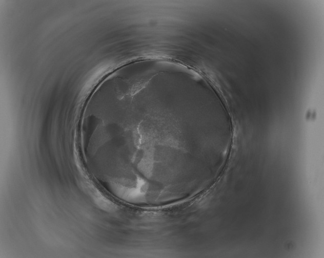 X0000113250145200909241619