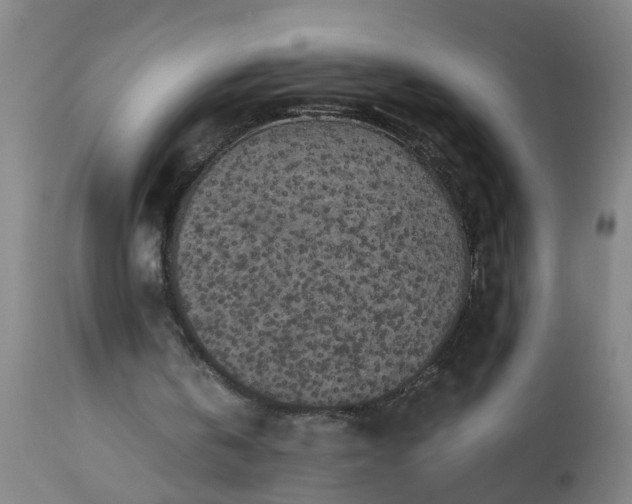 X0000113250146200909241620