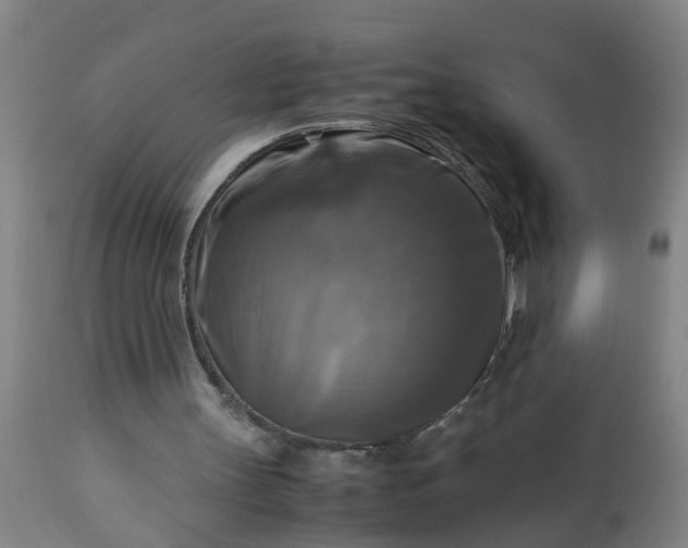 X0000113250147200909241620