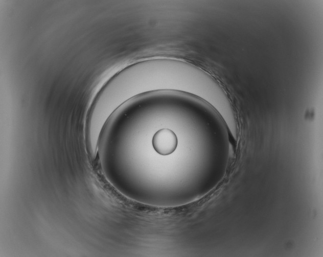 X0000113250148200909241620