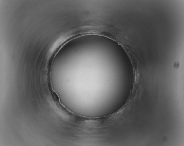 X0000113250150200909241620