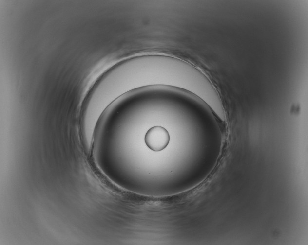 X0000113250152200909241620