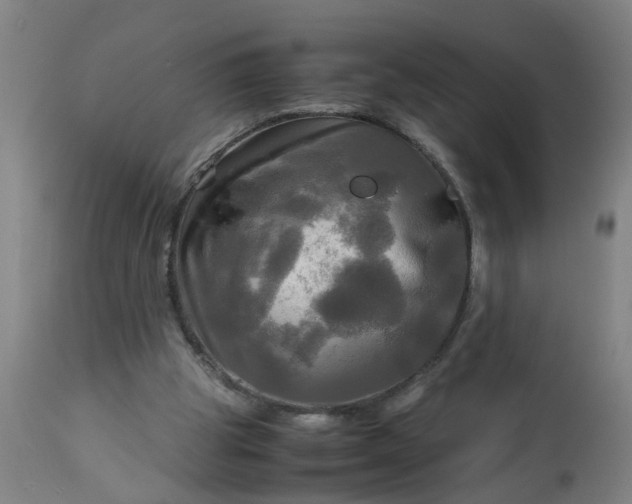 X0000113250153200909241620