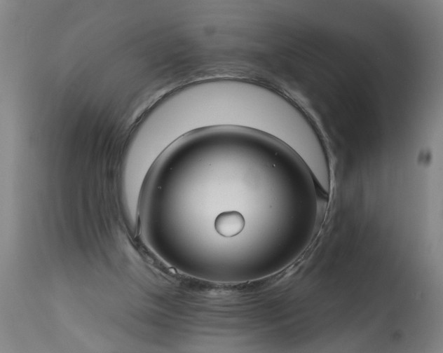 X0000113250154200909241620