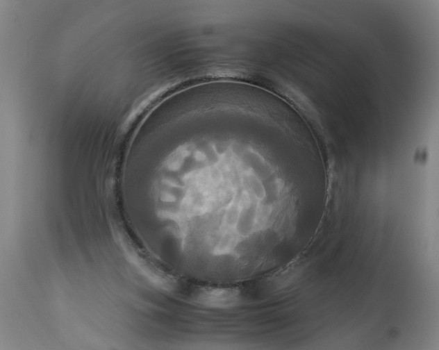 X0000113250155200909241620