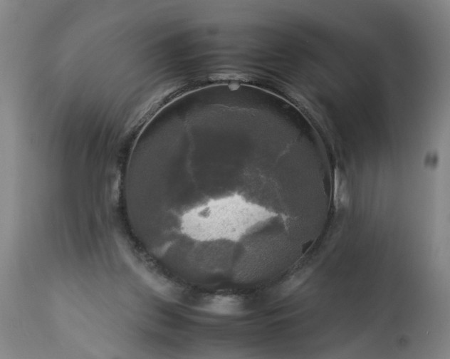 X0000113250157200909241620