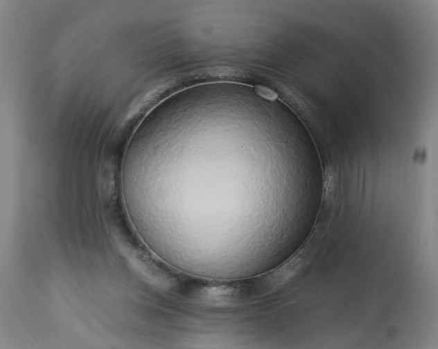 X0000113250158200909241620