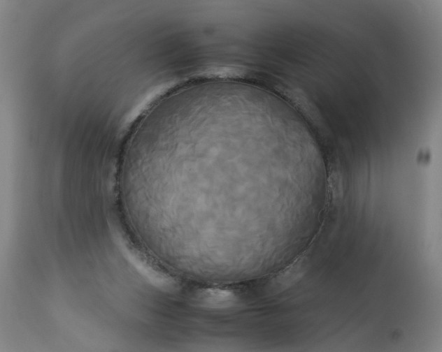 X0000113250159200909241620