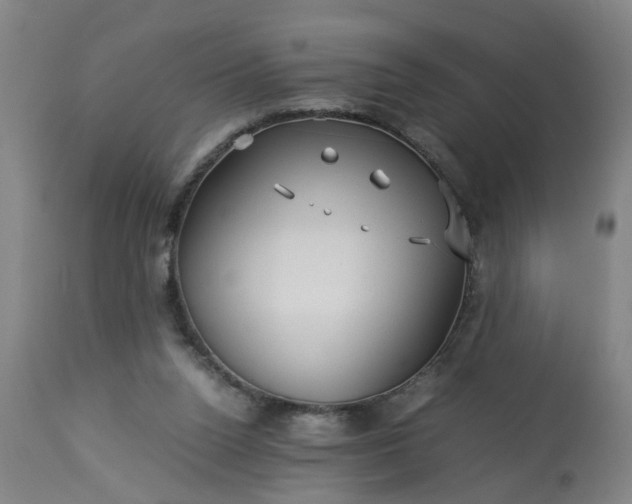 X0000113250160200909241620