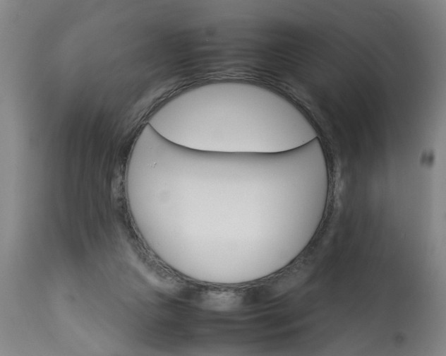 X0000113250161200909241620