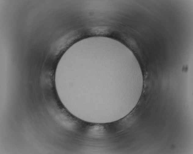 X0000113250162200909241620