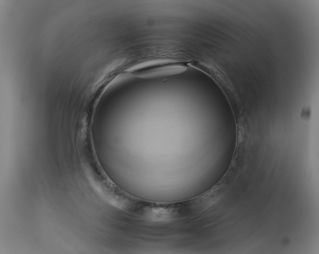 X0000113250163200909241620