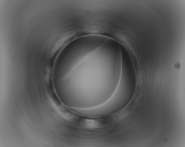 X0000113250167200909241620