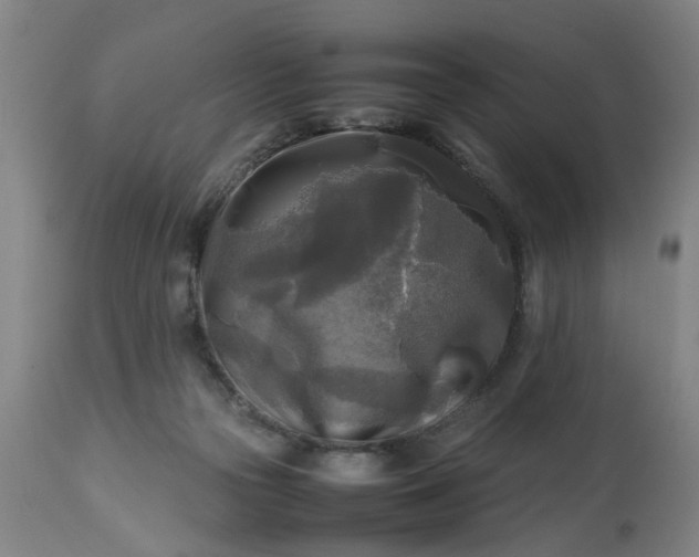 X0000113250169200909241620