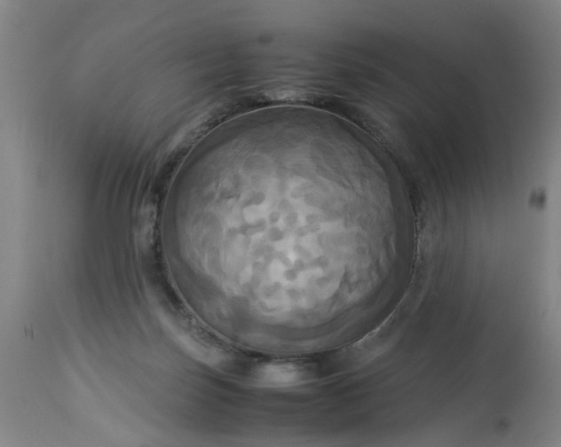 X0000113250171200909241620