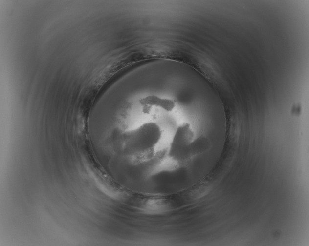 X0000113250173200909241620