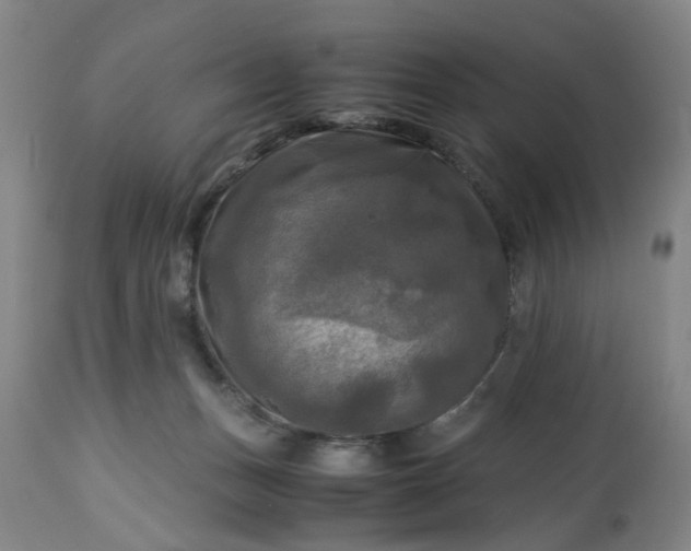 X0000113250175200909241620