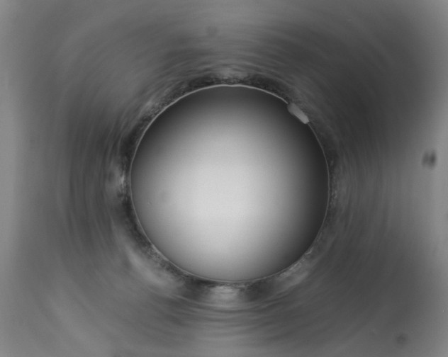 X0000113250176200909241620