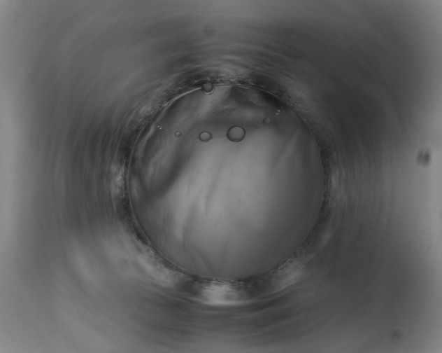 X0000113250177200909241620