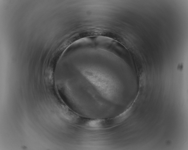 X0000113250178200909241620