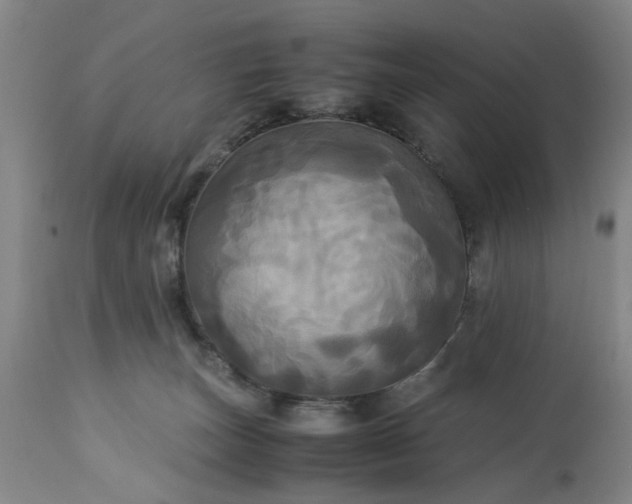 X0000113250179200909241620