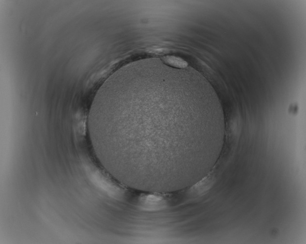 X0000113250180200909241620