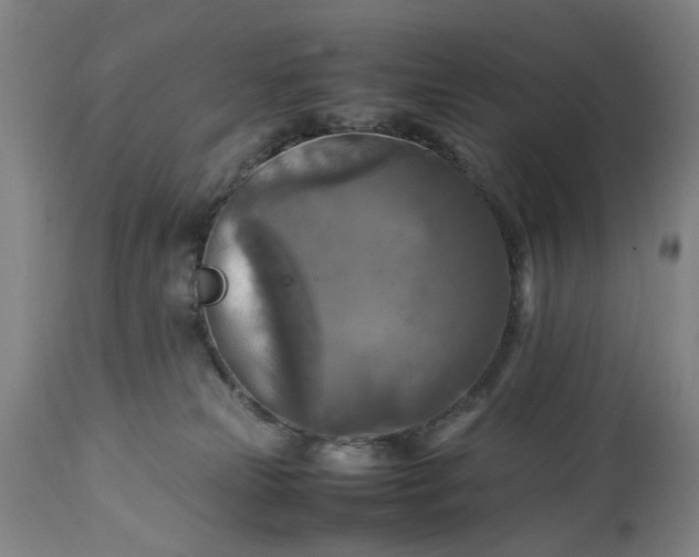 X0000113250181200909241620